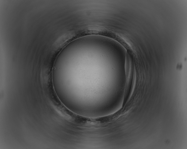 X0000091720455200708241353