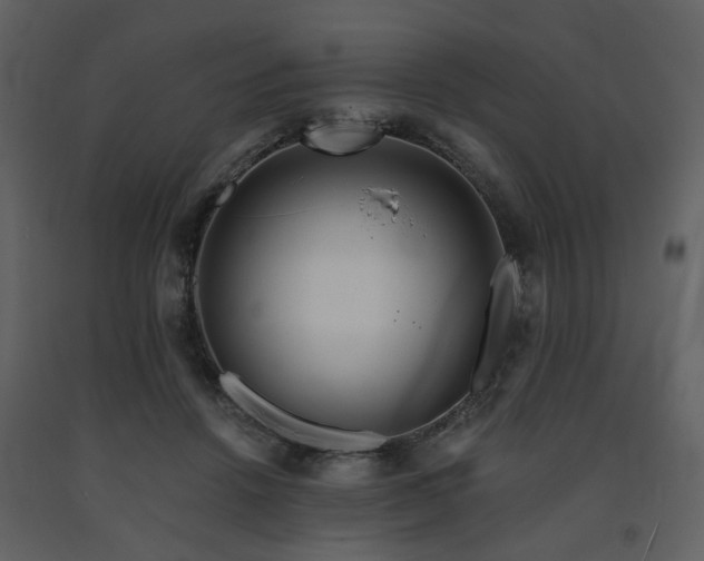 X0000091720456200708241353