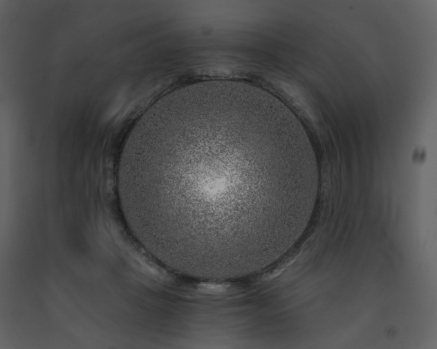 X0000091720457200708241353