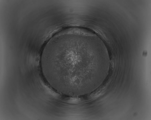 X0000091720458200708241353
