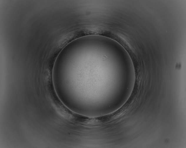 X0000091720459200708241353