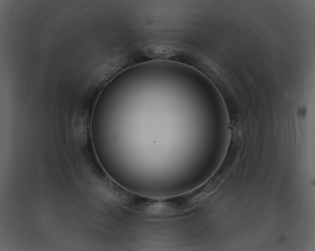 X0000091720460200708241353