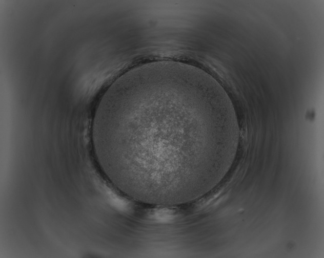 X0000091720462200708241353