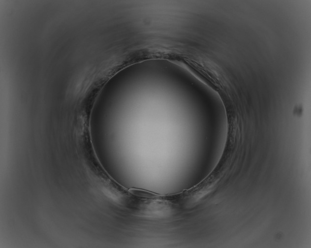 X0000091720463200708241353