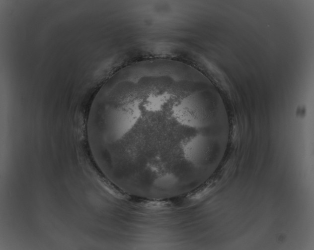 X0000091720465200708241353