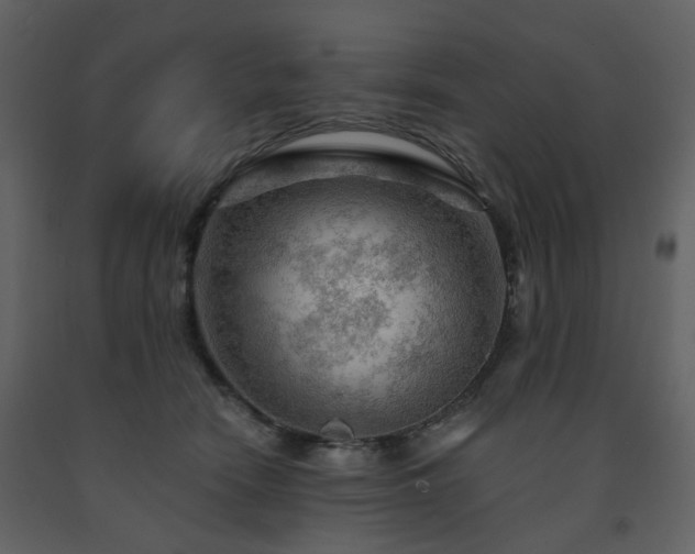X0000091720466200708241353