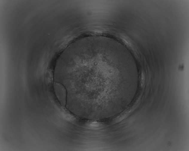 X0000091720467200708241353