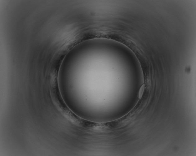 X0000091720468200708241353