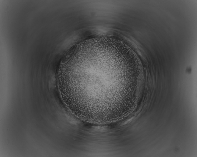 X0000091720469200708241353