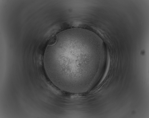 X0000091720470200708241354