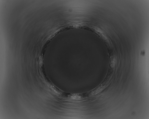 X0000091720471200708241354