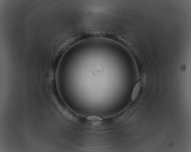 X0000091720472200708241354
