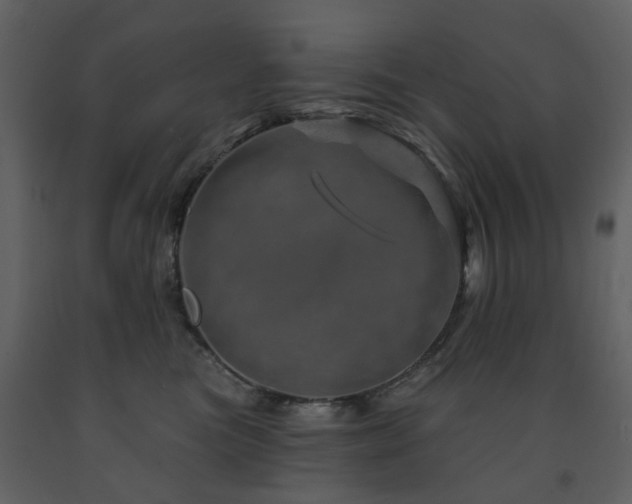 X0000091720473200708241354