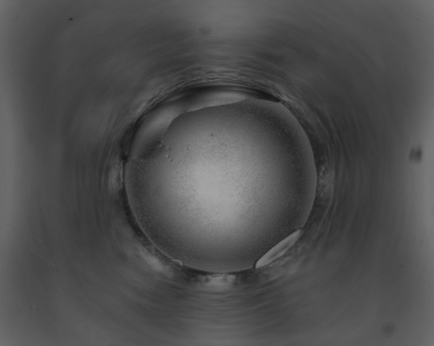 X0000091720474200708241354