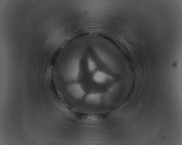 X0000091720475200708241354