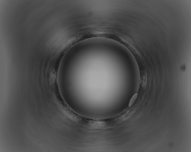 X0000091720476200708241354