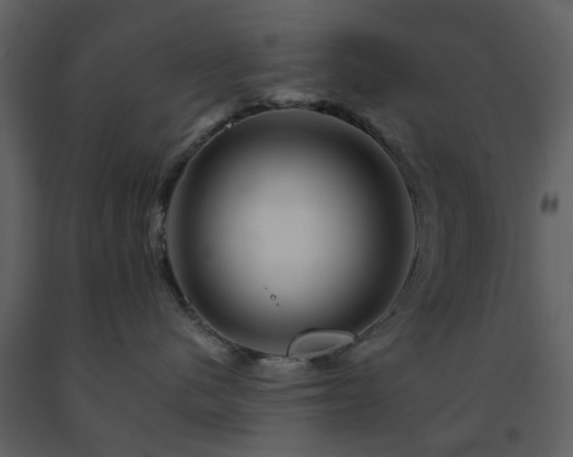 X0000091720480200708241354