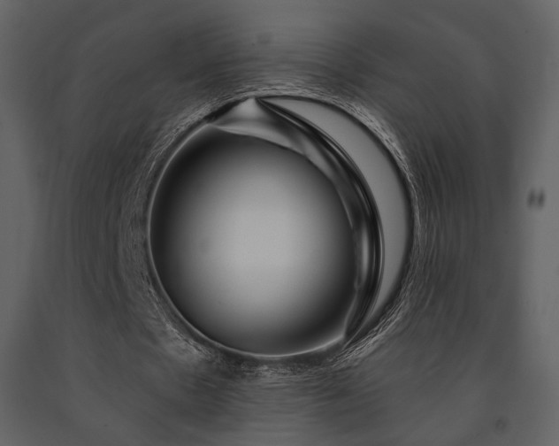 X0000091720481200708241353