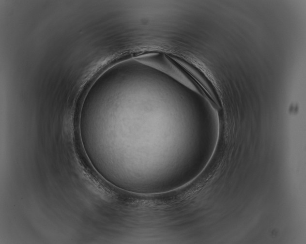 X0000091720482200708241353