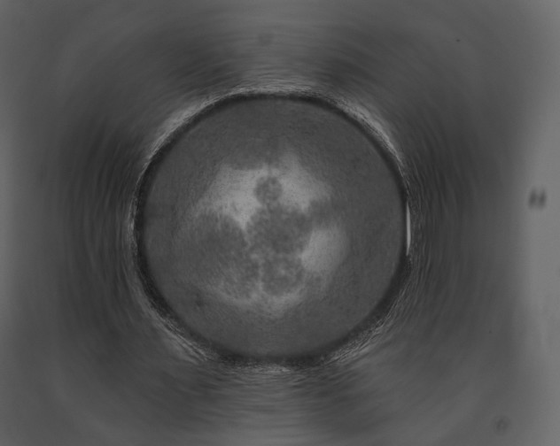 X0000091720483200708241353