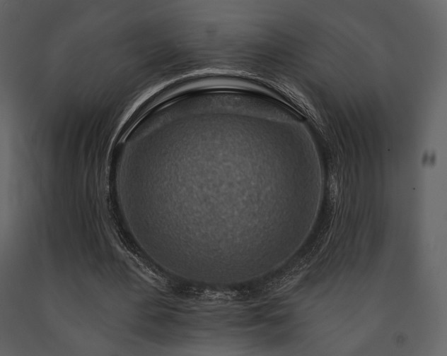 X0000091720484200708241353