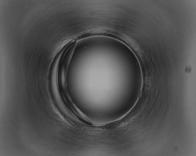 X0000091720485200708241353
