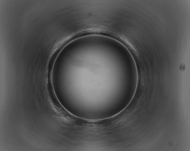 X0000091720486200708241353