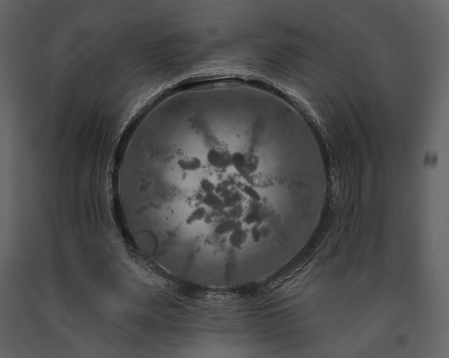 X0000091720487200708241353