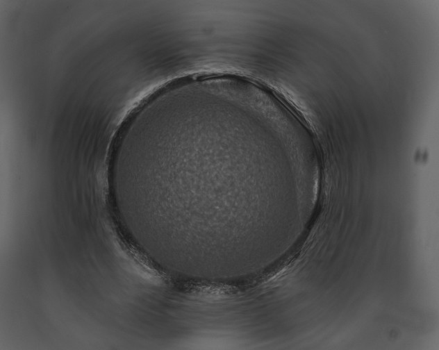 X0000091720488200708241353