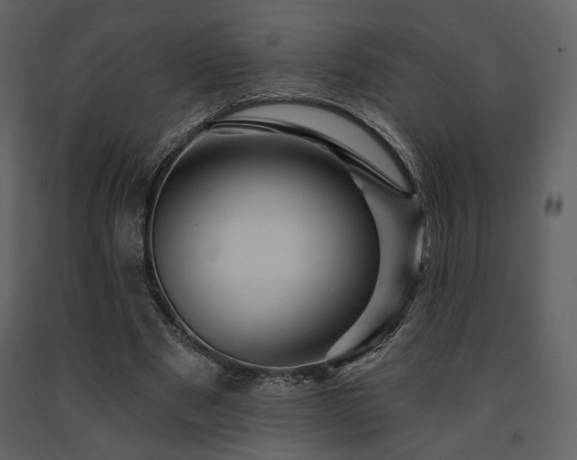 X0000091720489200708241353