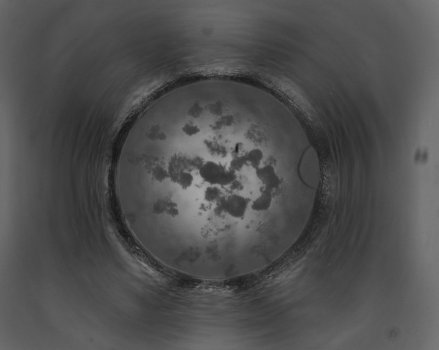 X0000091720491200708241353