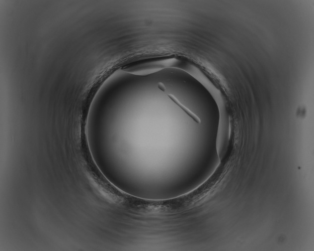 X0000091720493200708241353