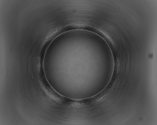 X0000091720494200708241353