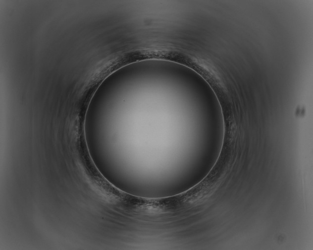 X0000091720498200708241353