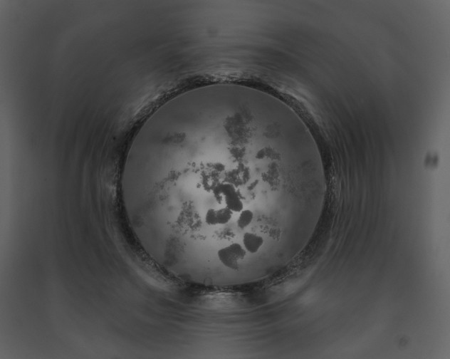 X0000091720499200708241353