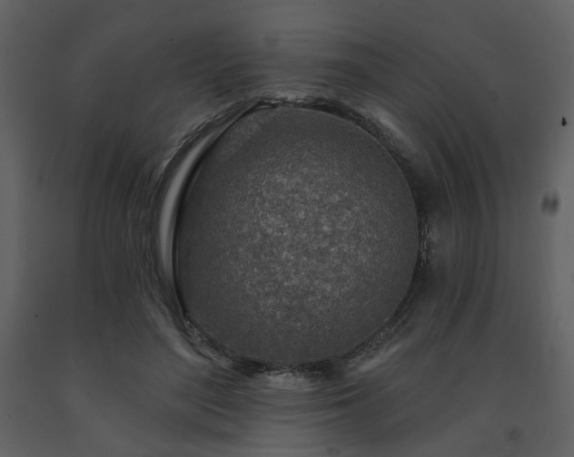 X0000091720500200708241353