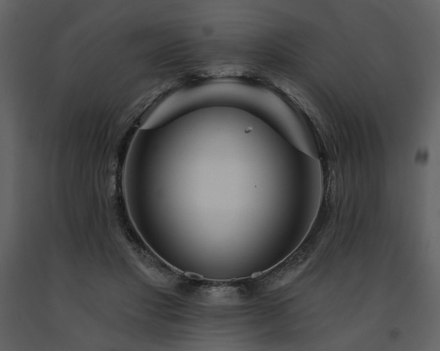 X0000091720501200708241353