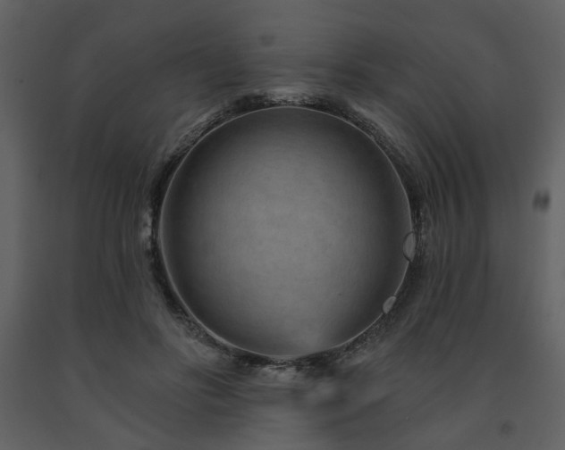 X0000091720502200708241353