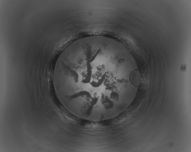 X0000091720503200708241353