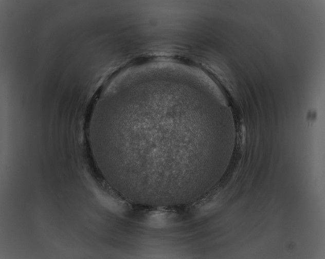 X0000091720504200708241352
