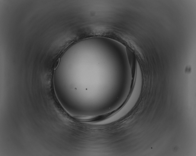 X0000091720505200708241352