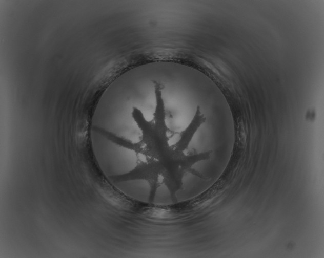 X0000091720507200708241352