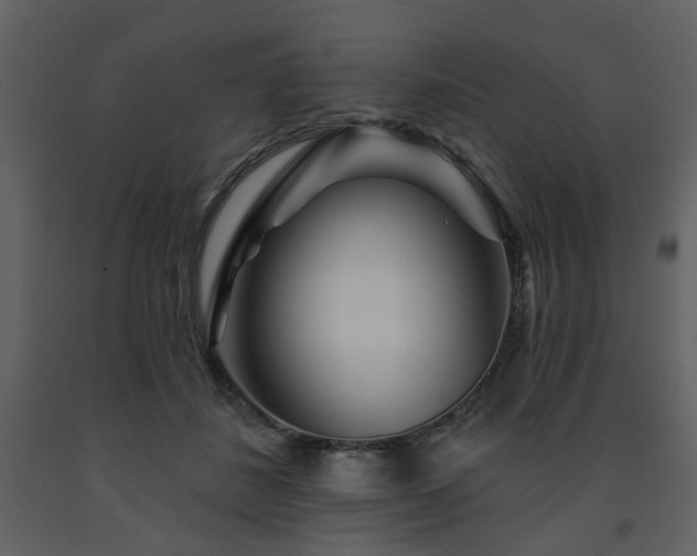 X0000091720508200708241352