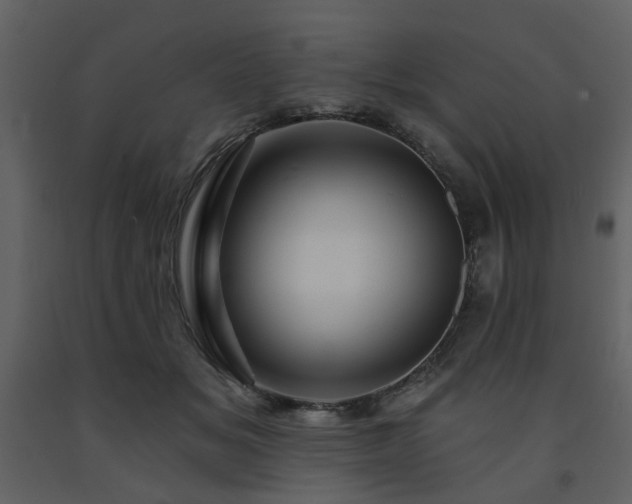 X0000091720509200708241352