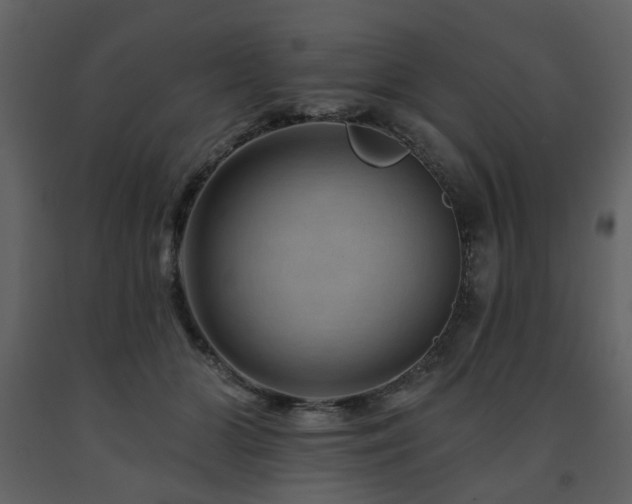 X0000091720510200708241352