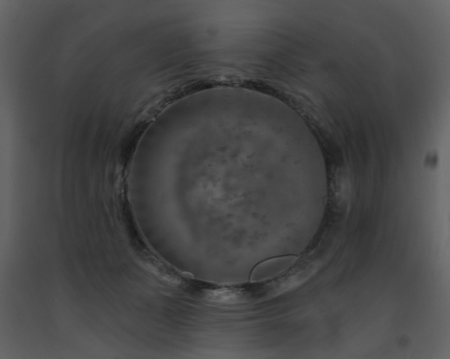 X0000091720511200708241352