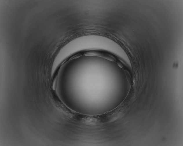 X0000091720512200708241352
