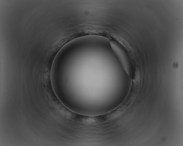 X0000091720513200708241352