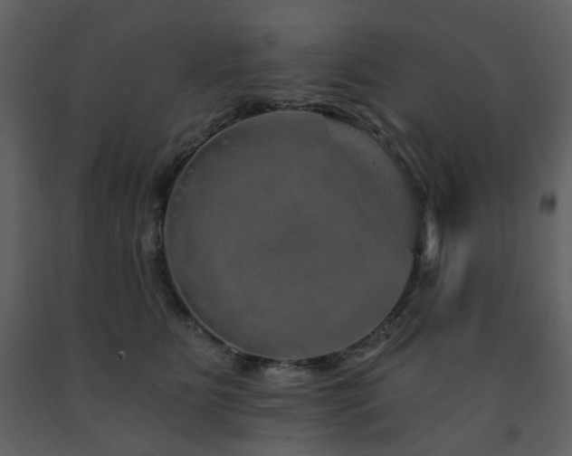 X0000091720515200708241352