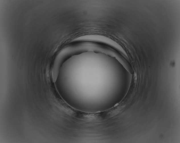 X0000091720516200708241352